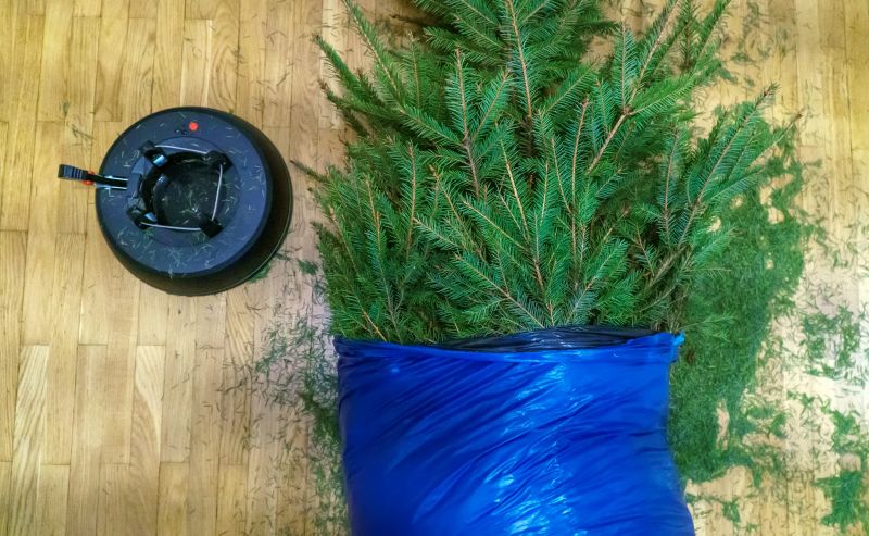 Pine Needle Removal