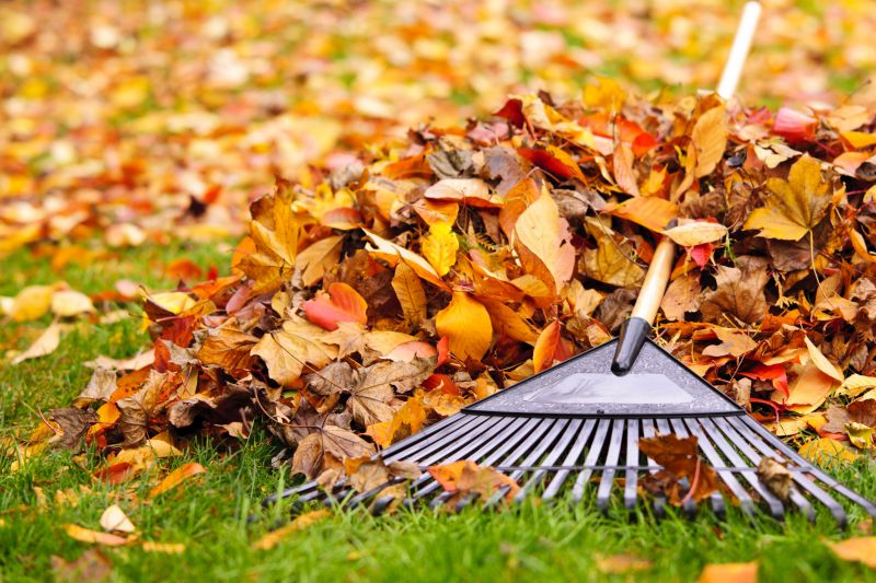 Equipment for Autumn Lawn Care
