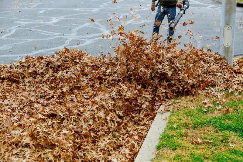 Leaf Blowing and Collection