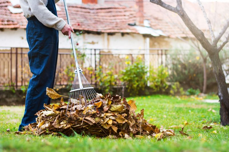 Lawn Raking and Cleanup
