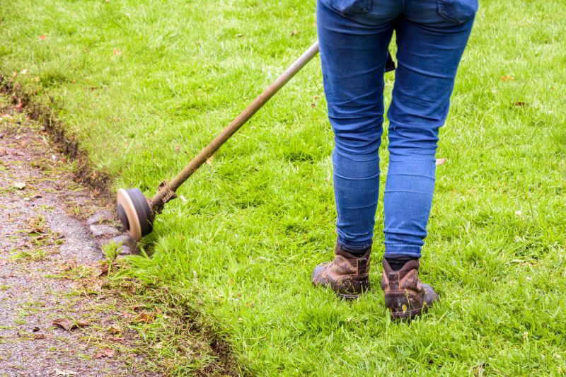 Edge Trimming for a Neat Lawn