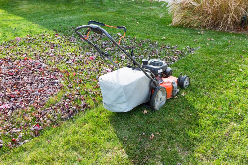 Professional Equipment for Fall Cleanup