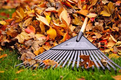 Seasonal Lawn Maintenance Tools