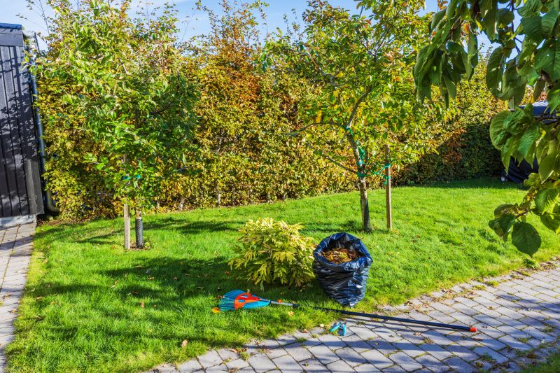 Spring Lawn Cleanup