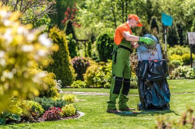 Local Landscaping Providers