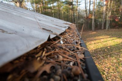 Keep Pine Needles Out of Your gutters