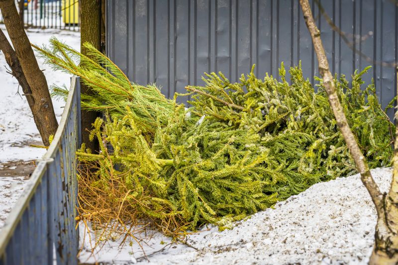 Pine Needle Removal Services